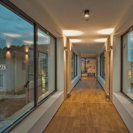 Sante Royale Hotel- & Gesundheitsresort Warmbad מלון